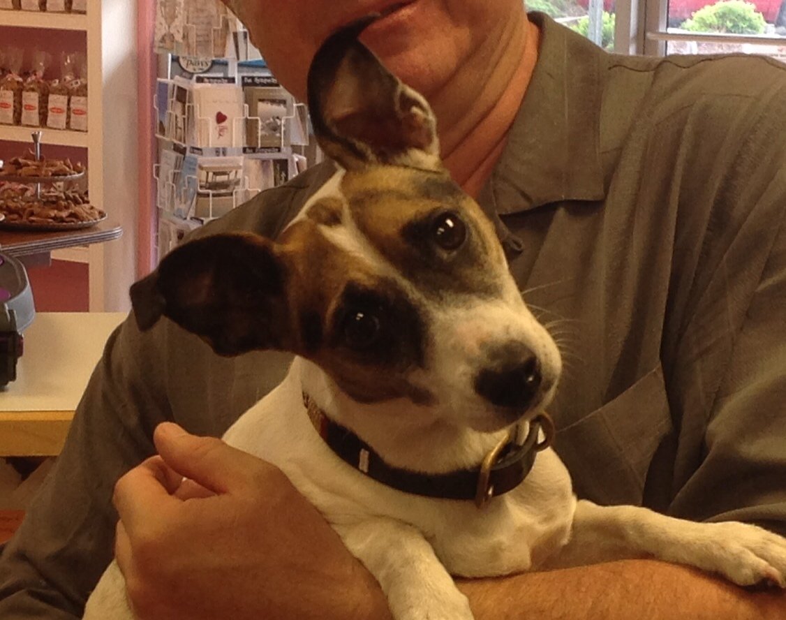 Pet Supplies Wilmington & Wrightsville Beach, NC Woofgang Bakery